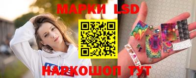 гидра Будённовск