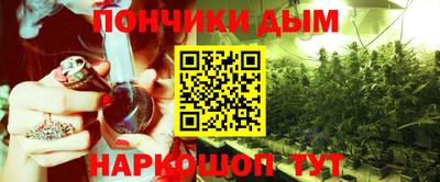 гидра Будённовск