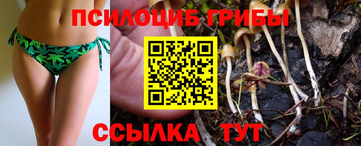 Галлюциногенные грибы Magic Shrooms  Вход с VPN  Галлюциногенные грибы GOLDEN TEACHER  Псков 