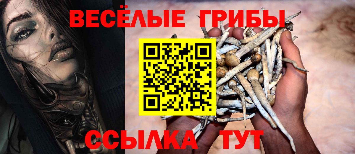 Псилоцибиновые грибы GOLDEN TEACHER Псков